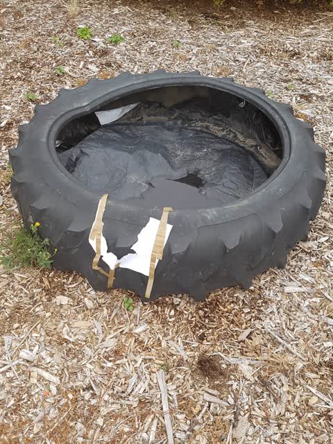 Rubbish/Recycling, a report photo