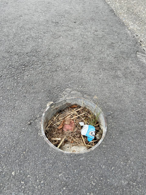 Roading/Streets, a report photo