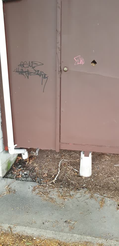 Graffiti, a report photo