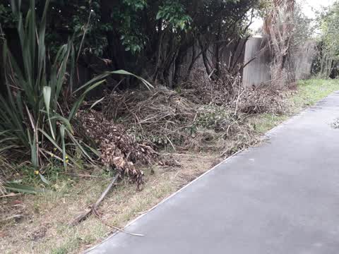 Parks, a report photo