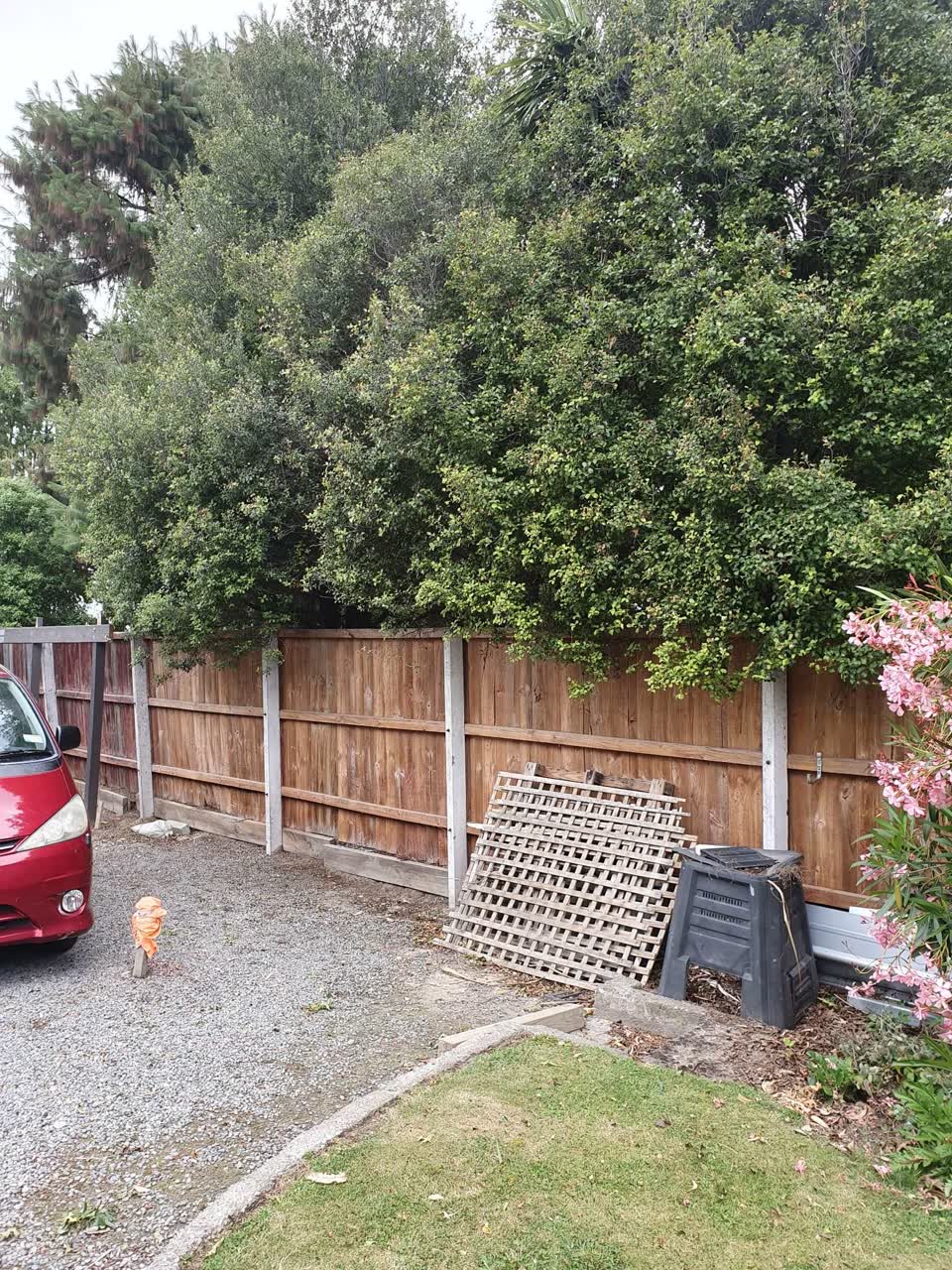 The photograph attached to this parks report