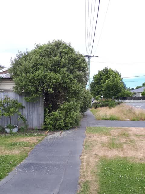 Roading/Streets, a report photo