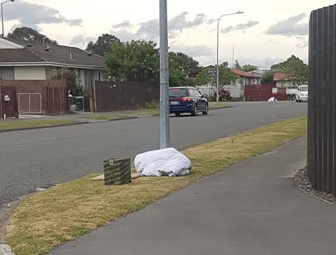 Rubbish/Recycling, a report photo