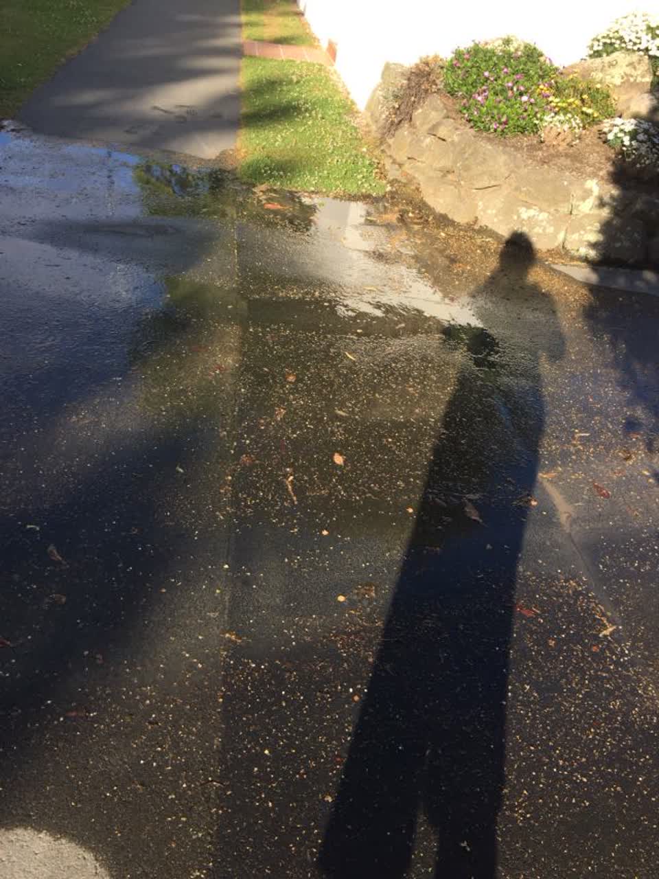 The photograph attached to this water supply report