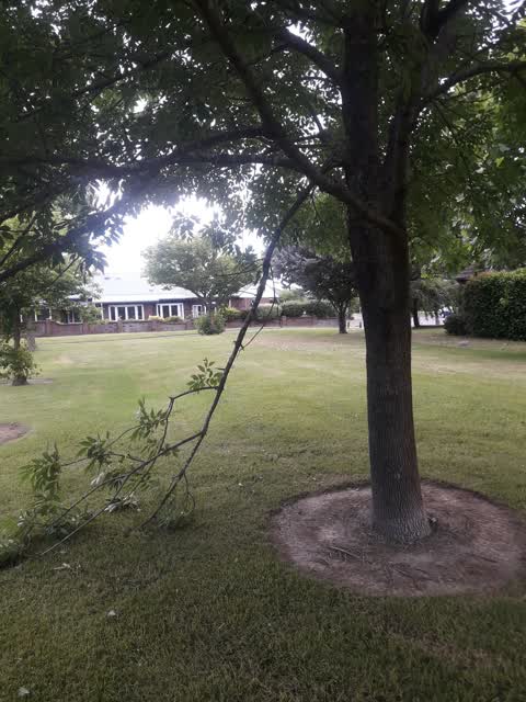 Parks, a report photo
