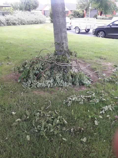 Parks, a report photo