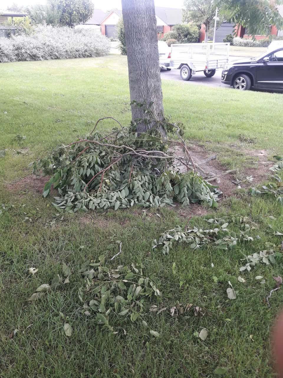 The photograph attached to this parks report