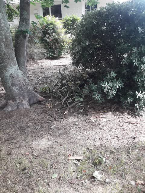 Parks, a report photo