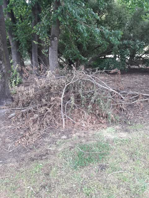 Parks, a report photo