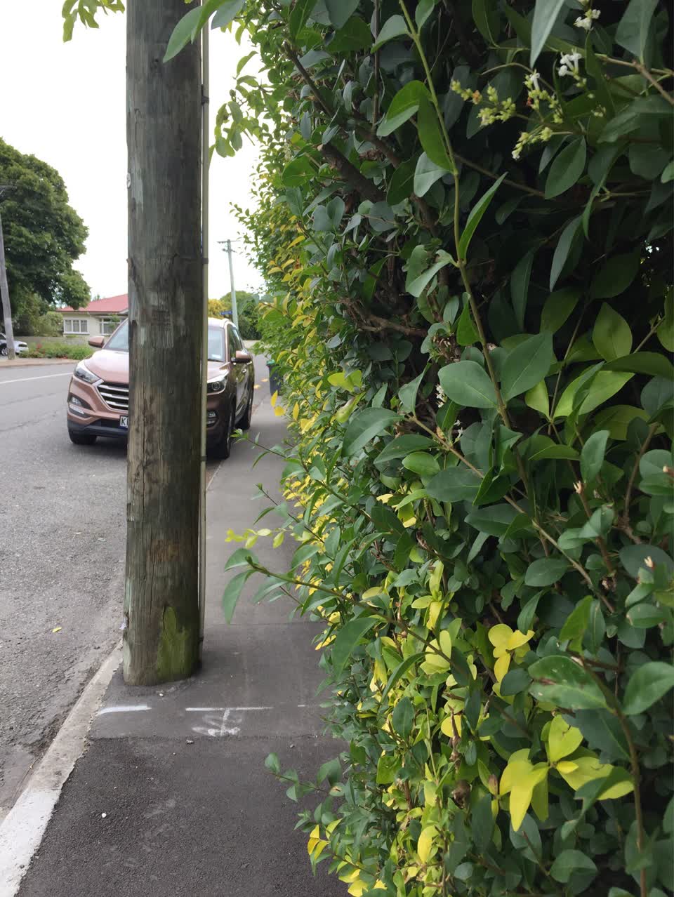 The photograph attached to this roading/streets report