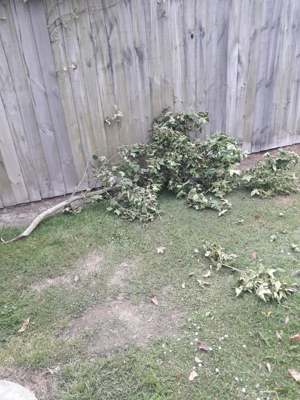 The photograph attached to this parks report