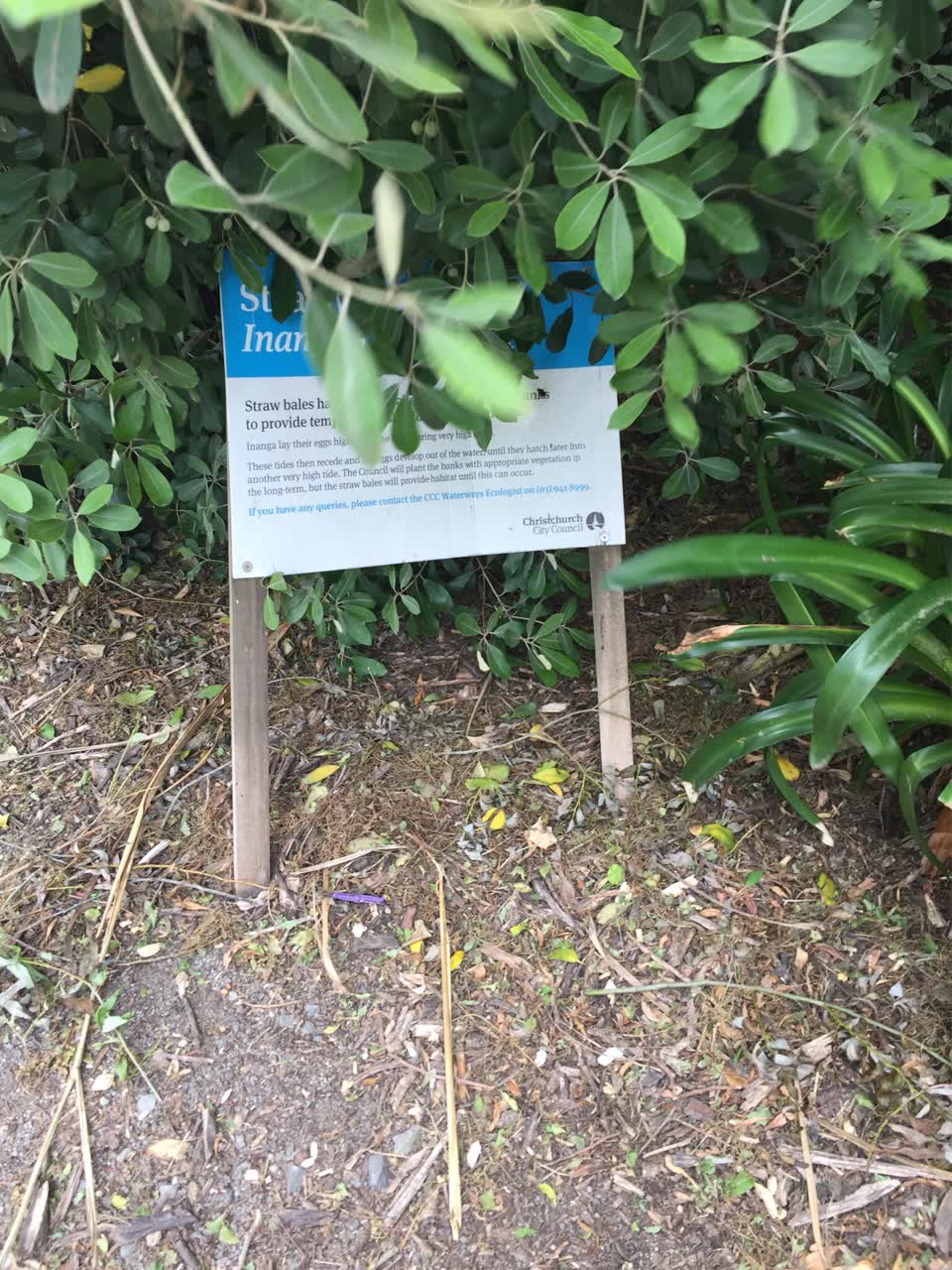 The photograph attached to this parks report
