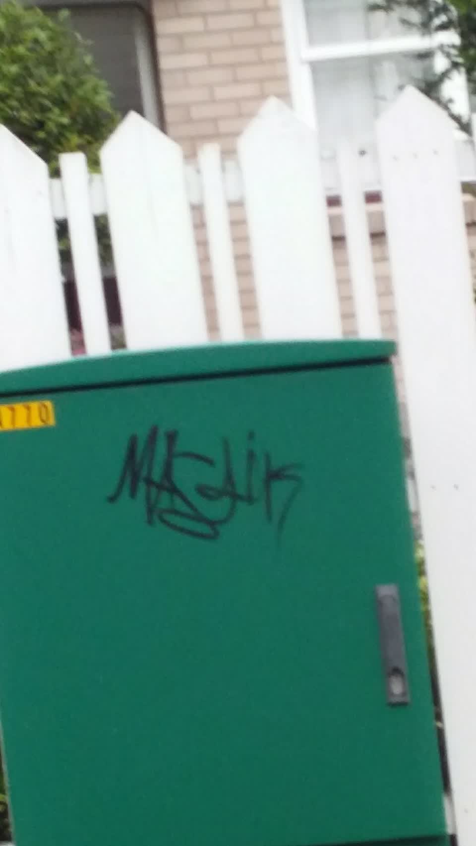 The photograph attached to this graffiti report