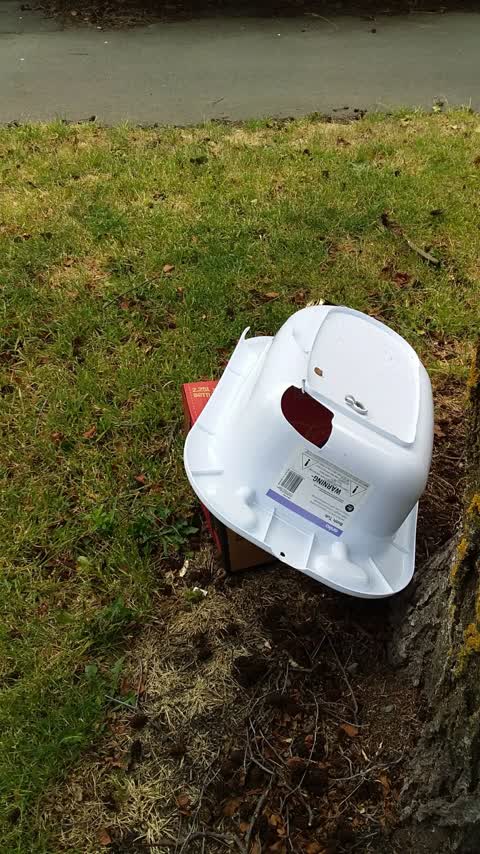 Rubbish/Recycling, a report photo