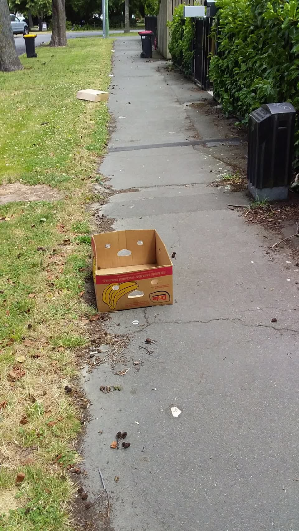 The photograph attached to this rubbish/recycling report