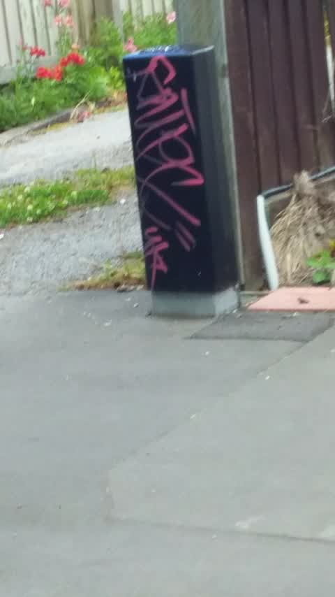 Graffiti, a report photo