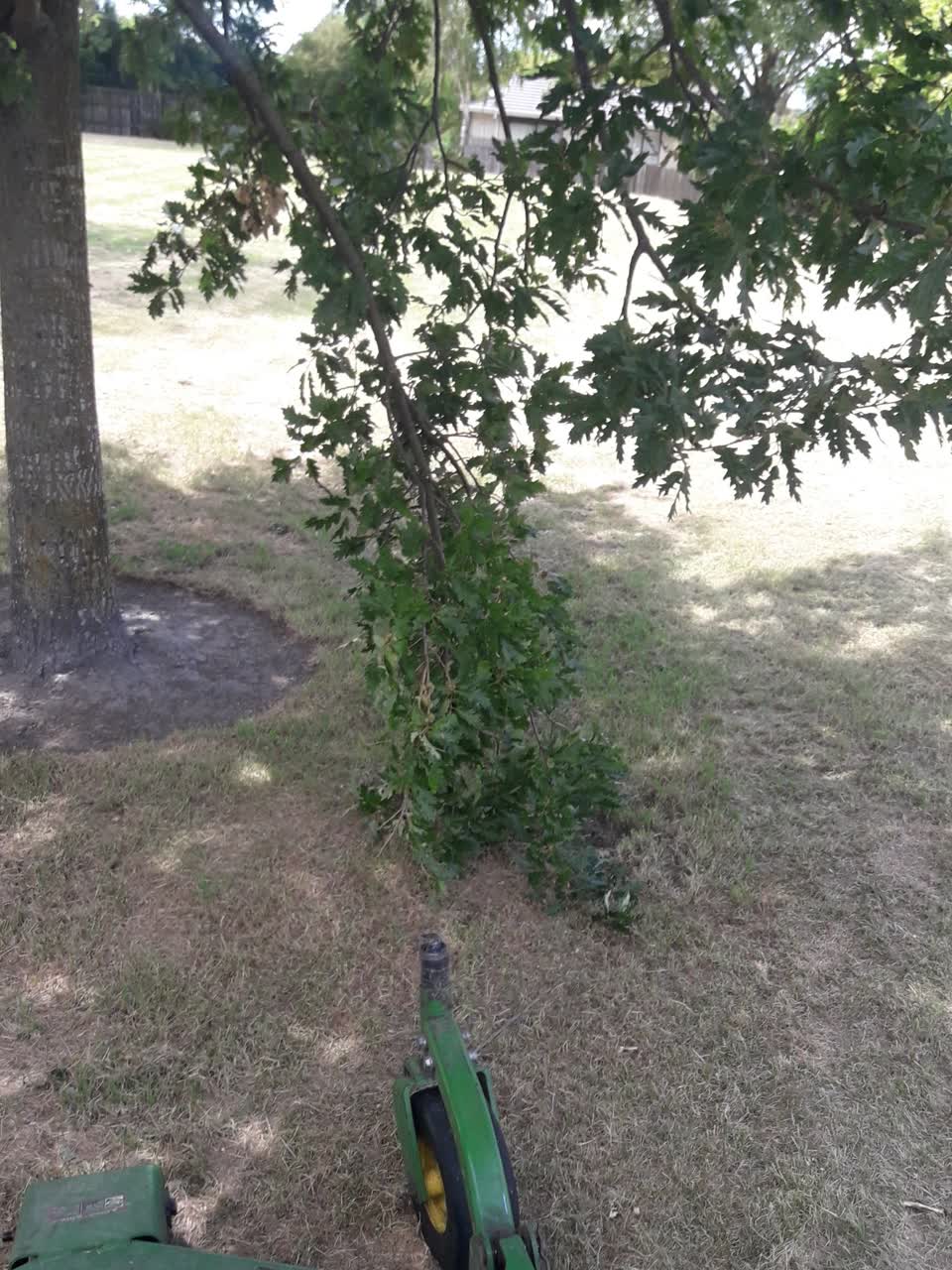 The photograph attached to this parks report