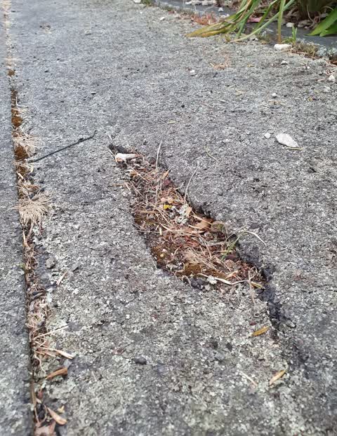 Roading/Streets, a report photo