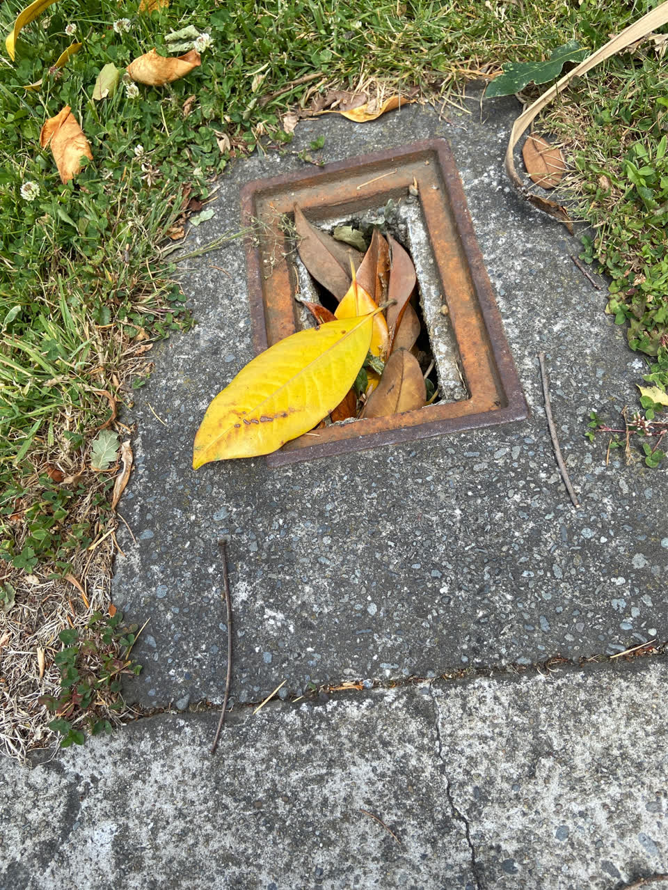 The photograph attached to this roading/streets report