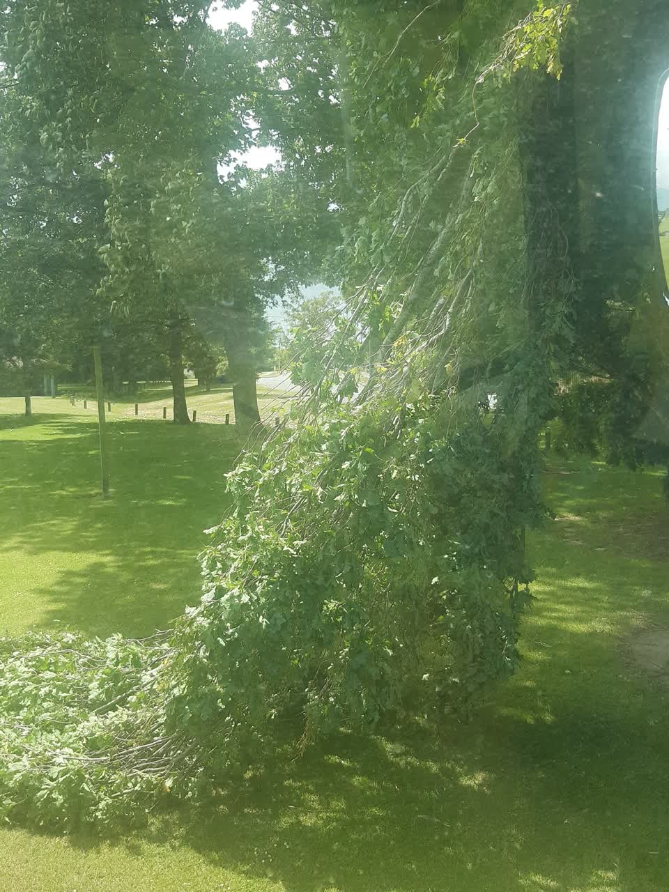 The photograph attached to this parks report
