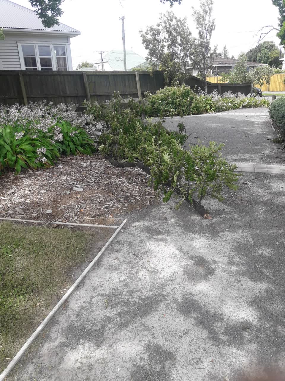 The photograph attached to this parks report