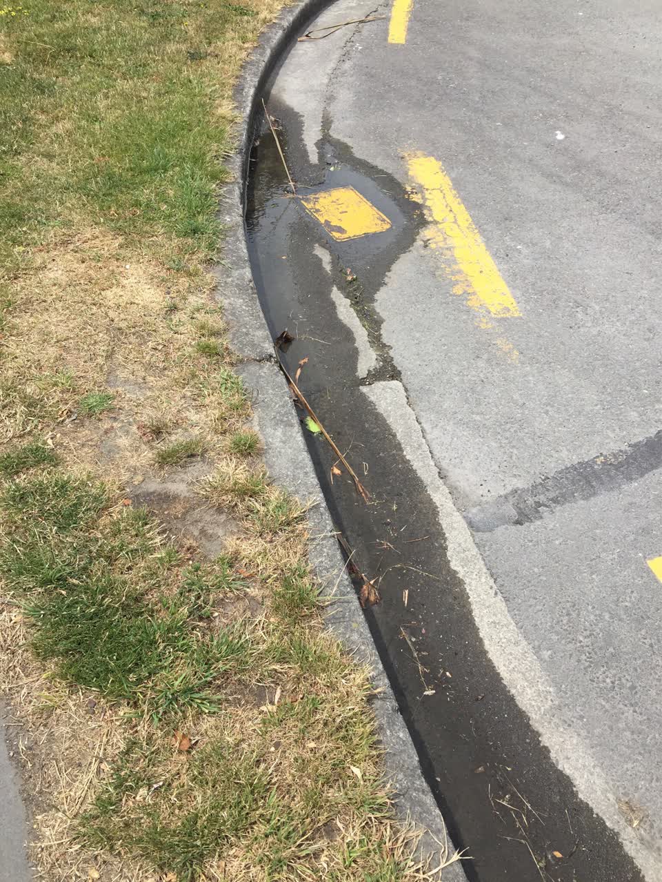 The photograph attached to this water supply report