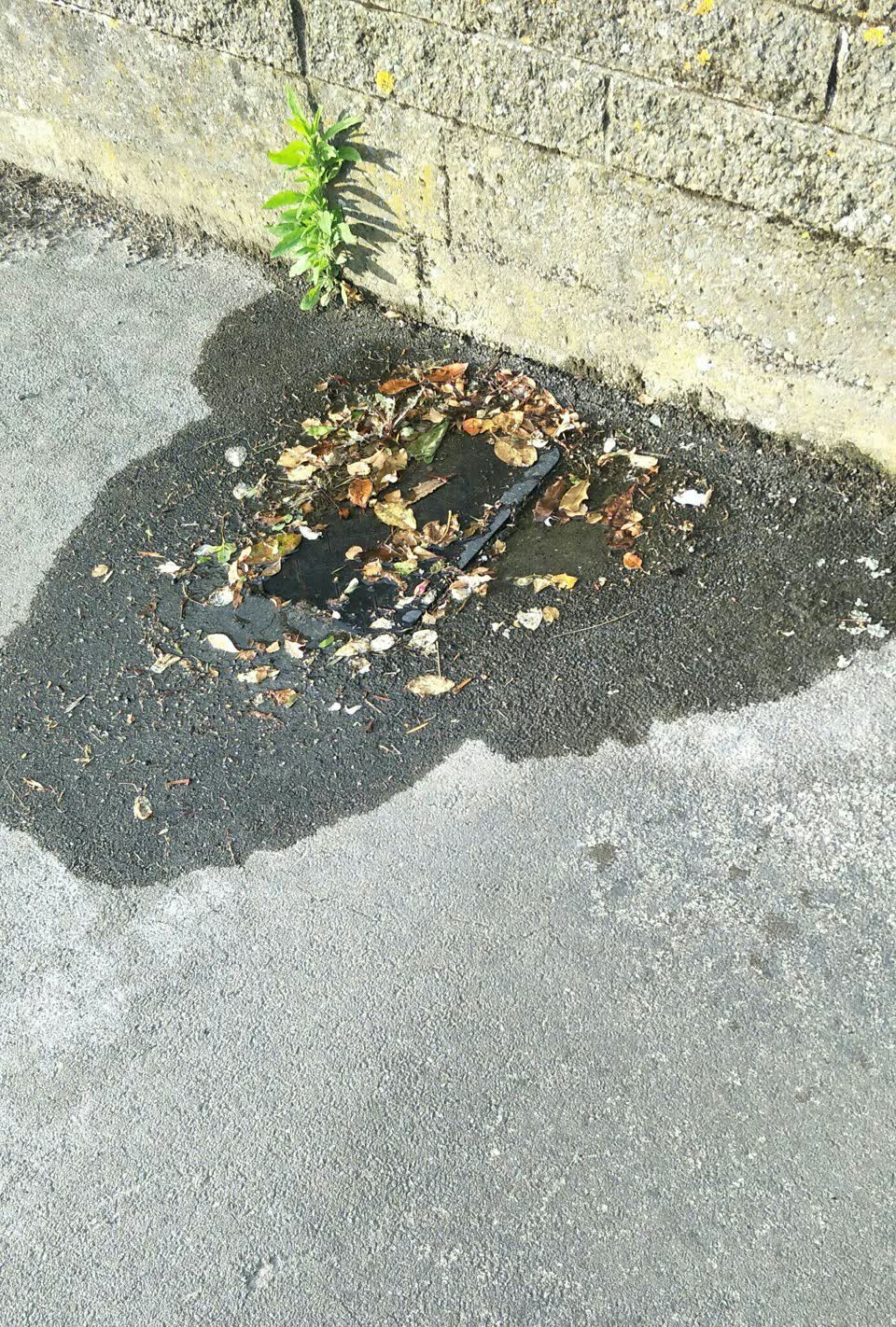 The photograph attached to this water supply report