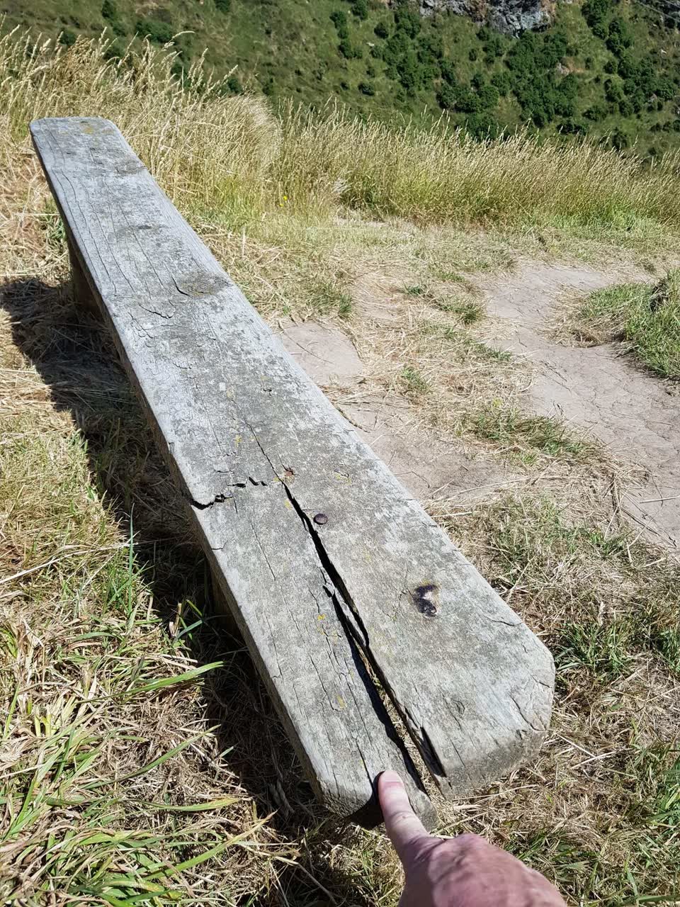 The photograph attached to this parks report