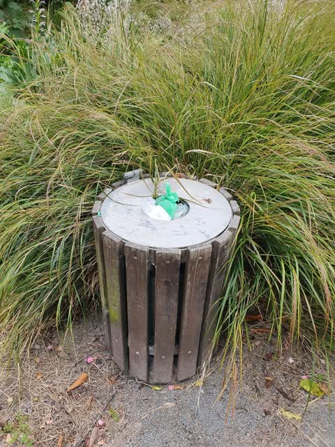 Rubbish/Recycling — a report photo