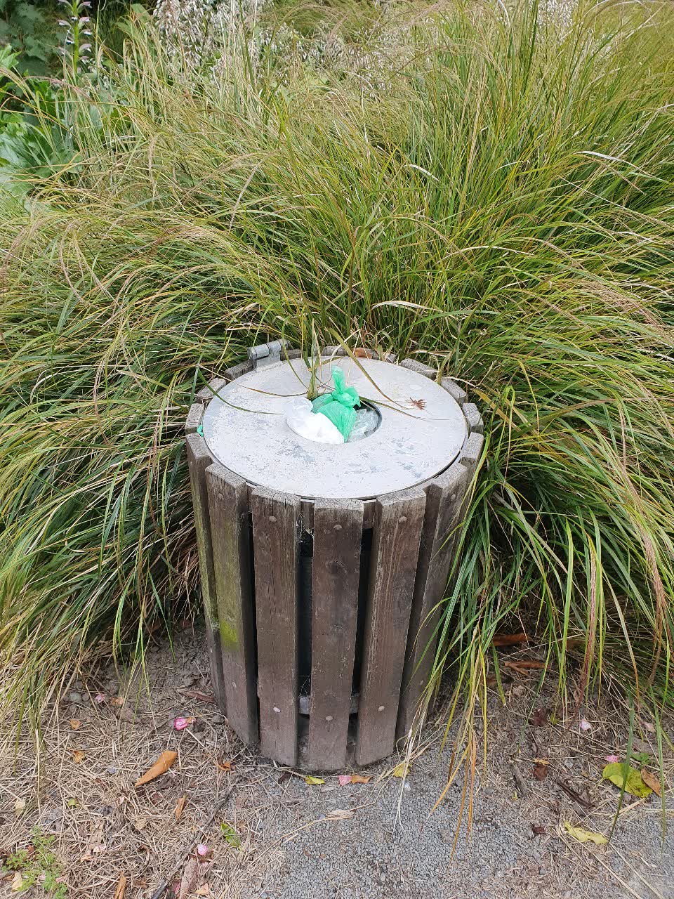 The photograph attached to this rubbish/recycling report