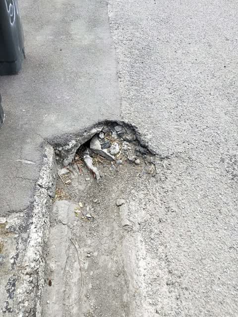 Roading/Streets, a report photo