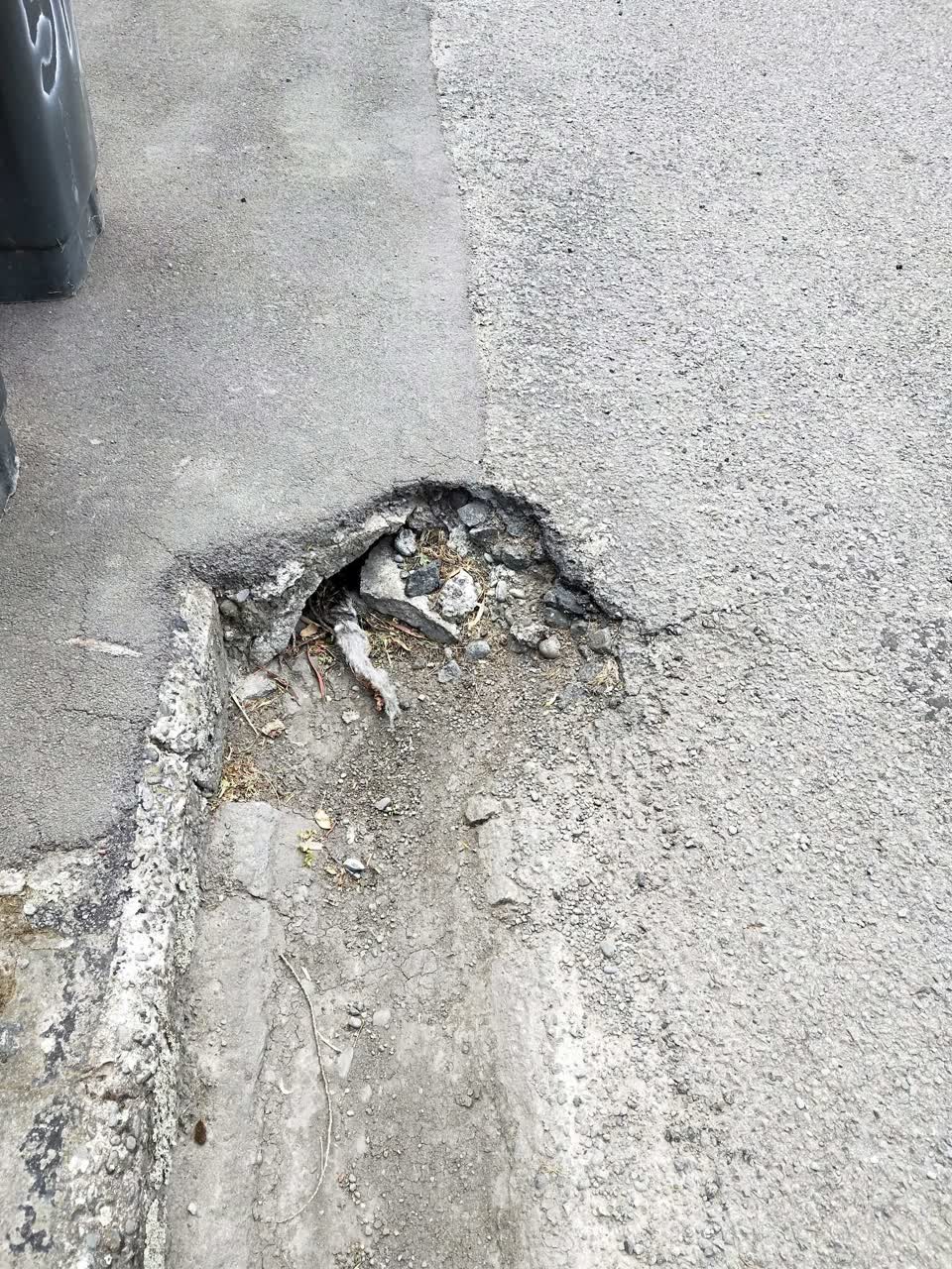 The photograph attached to this roading/streets report
