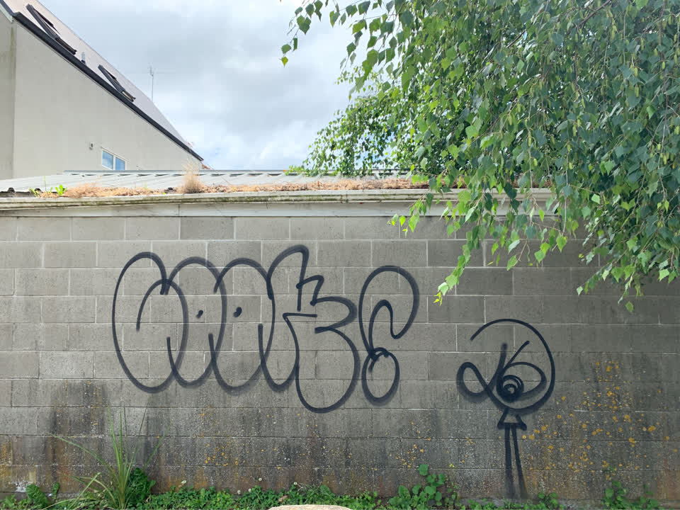 The photograph attached to this graffiti report