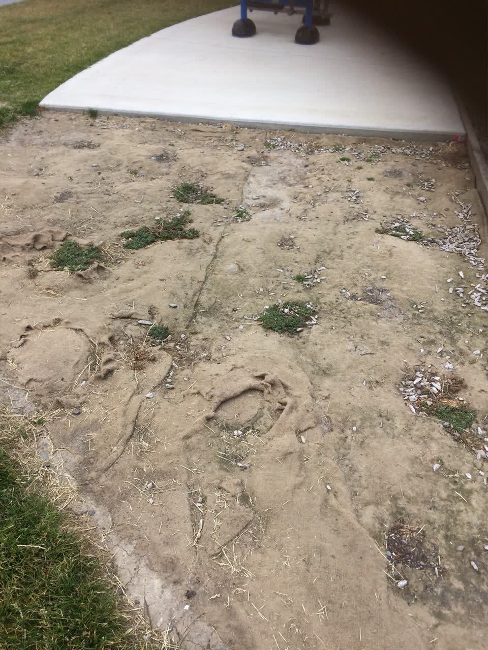 The photograph attached to this parks report