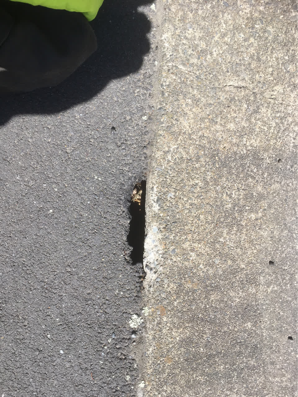 The photograph attached to this roading/streets report
