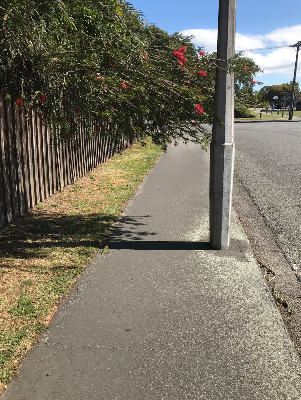 The photograph attached to this roading/streets report