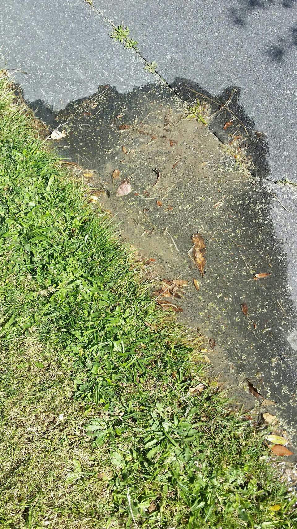 The photograph attached to this water supply report
