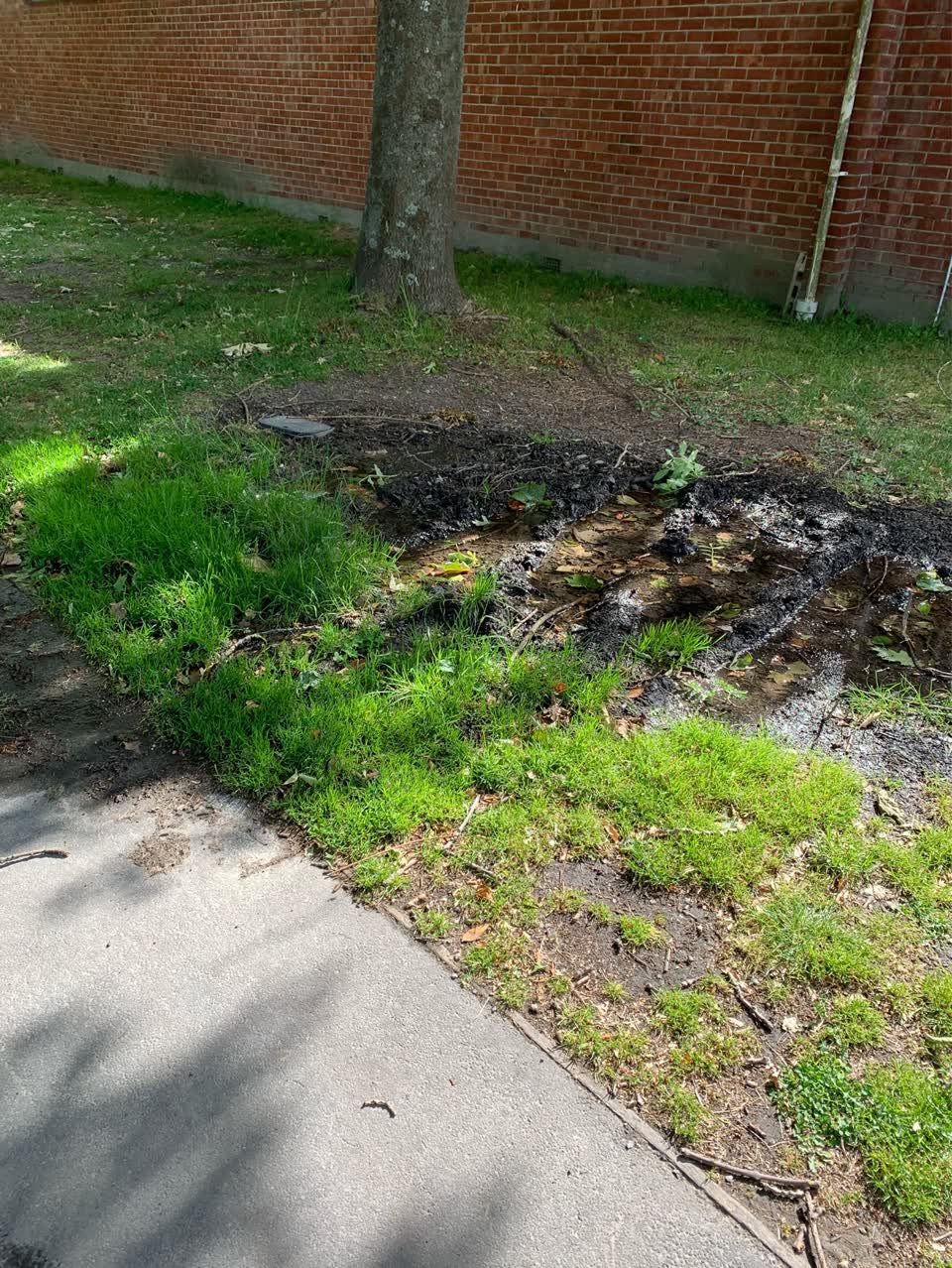 The photograph attached to this water supply report