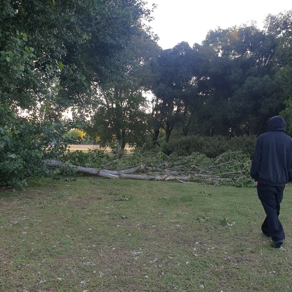 The photograph attached to this parks report