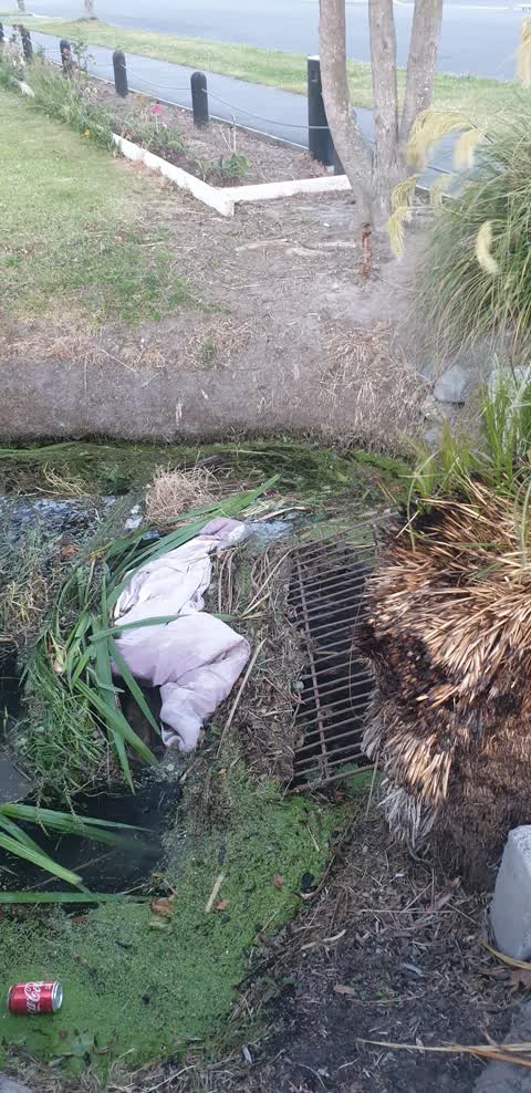 Wastewater/Stormwater, a report photo