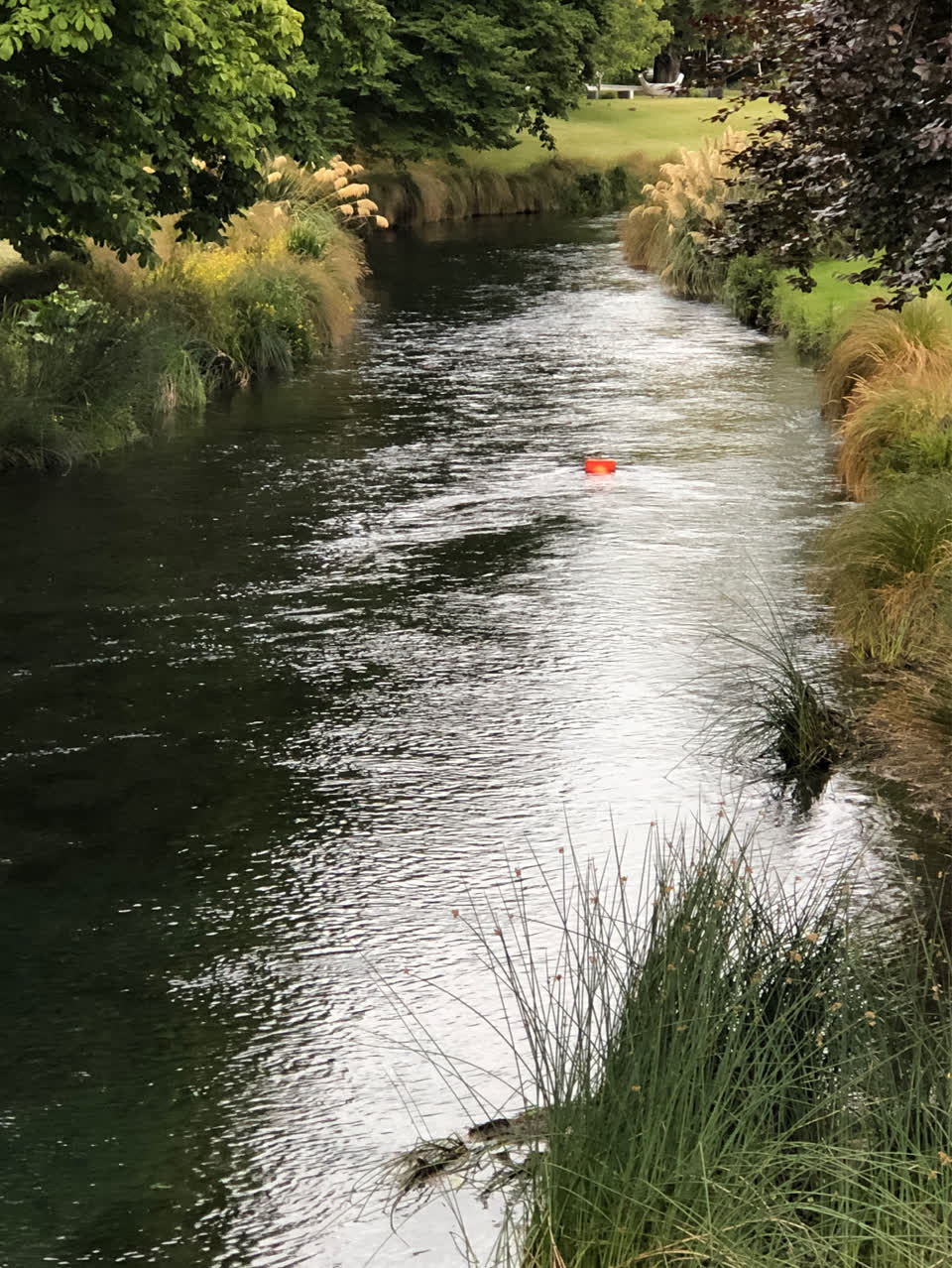 The photograph attached to this parks report