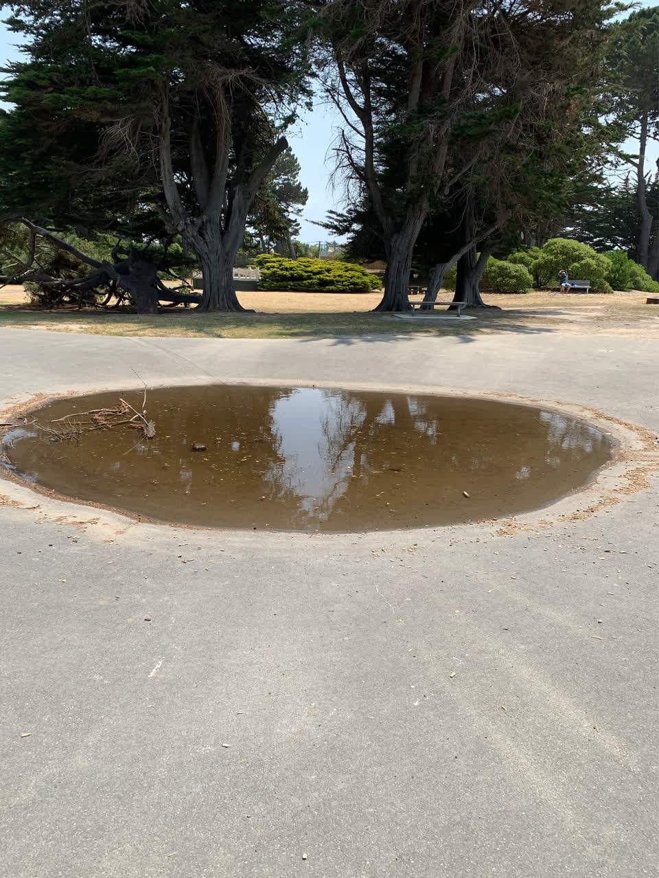 The photograph attached to this parks report