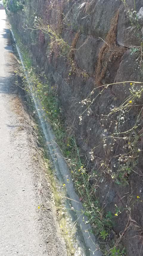 Roading/Streets, a report photo