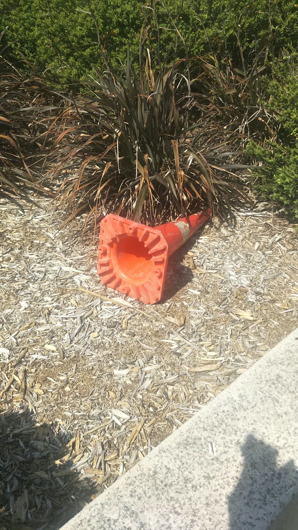 The photograph attached to this parks report