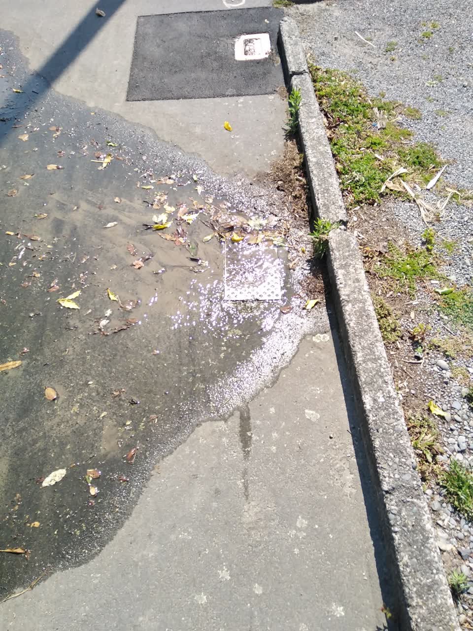 The photograph attached to this water supply report