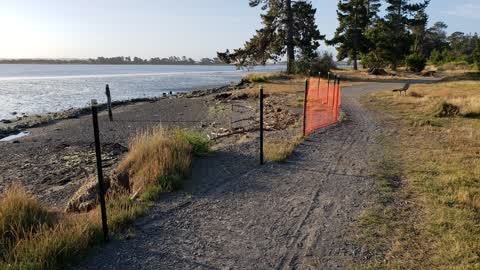 Parks — a report photo