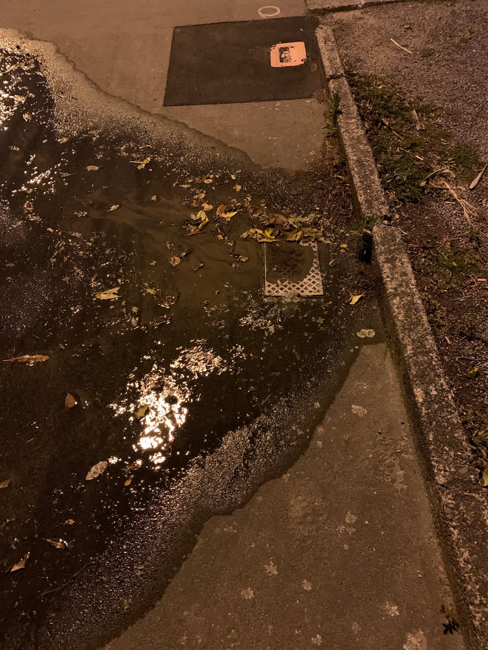 The photograph attached to this water supply report