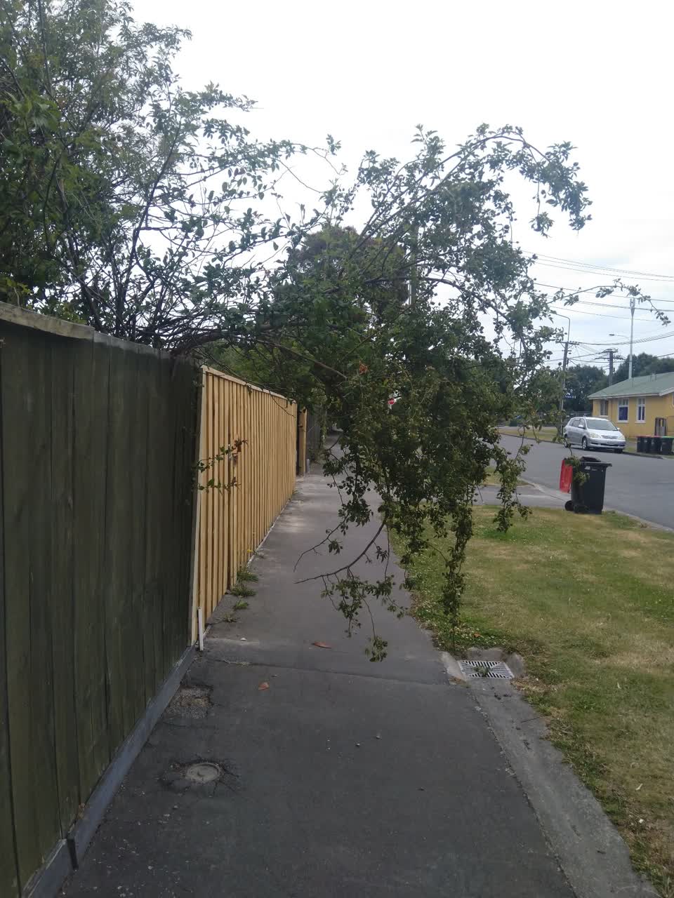 The photograph attached to this roading/streets report