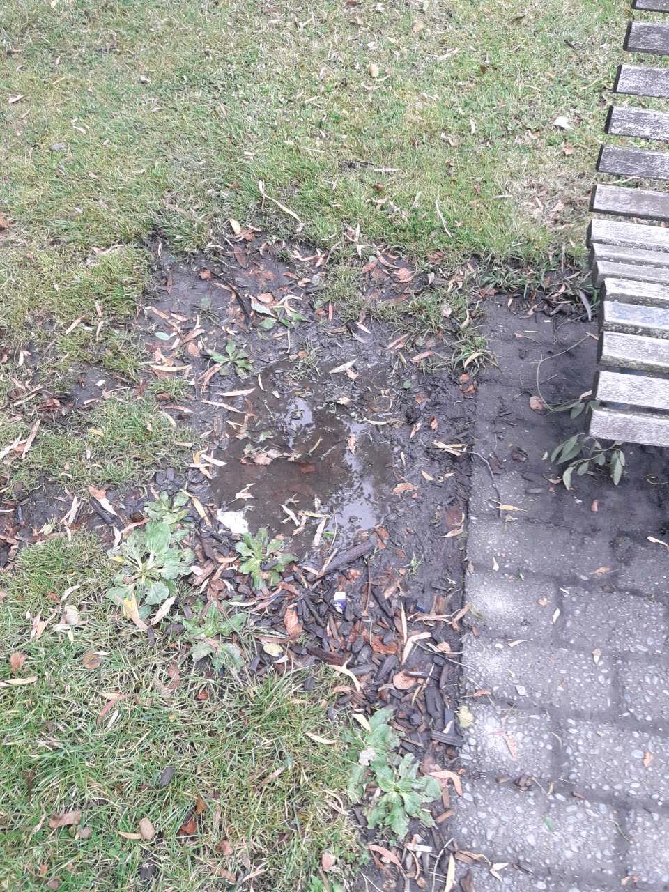 The photograph attached to this water supply report