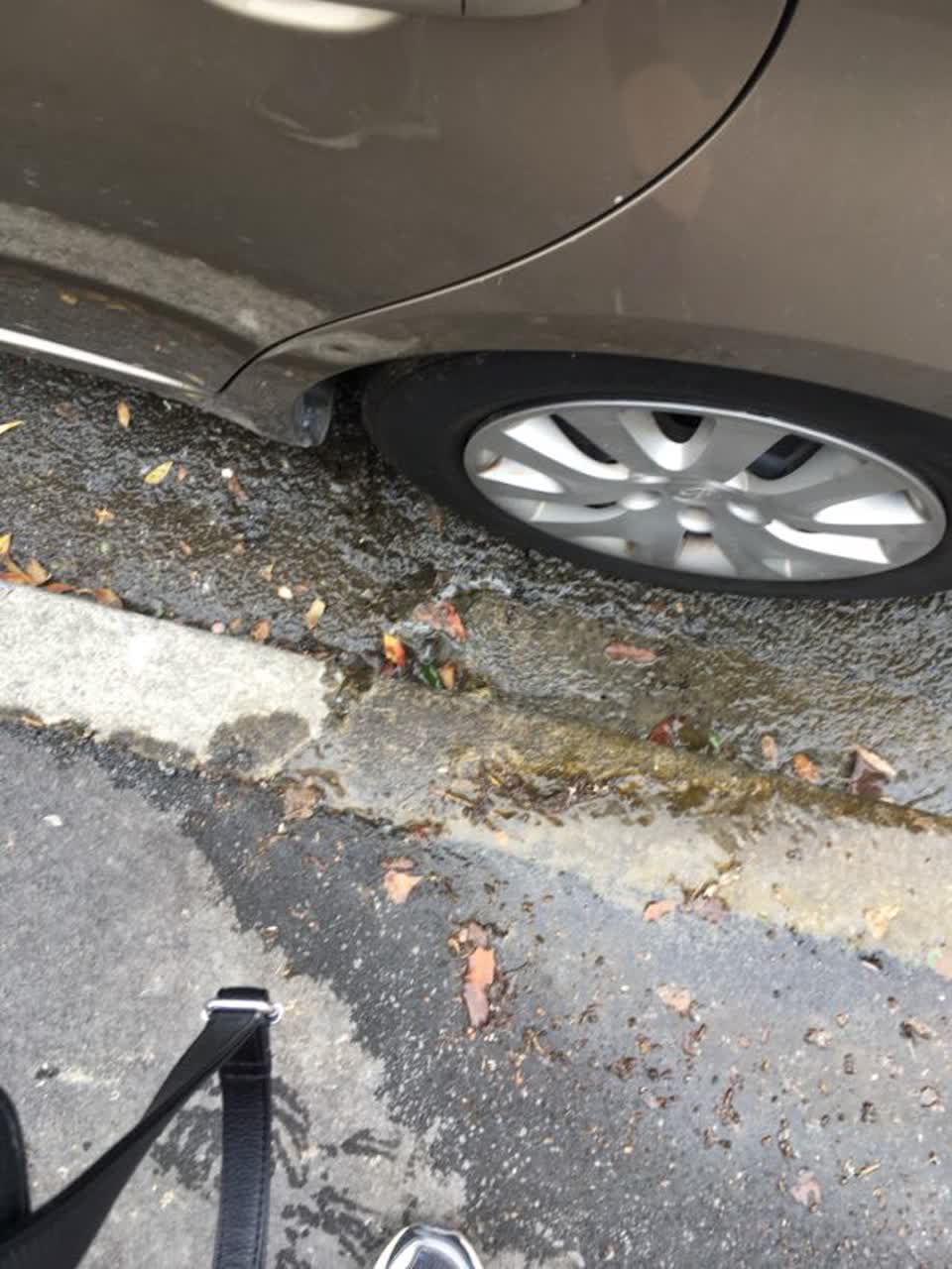 The photograph attached to this water supply report